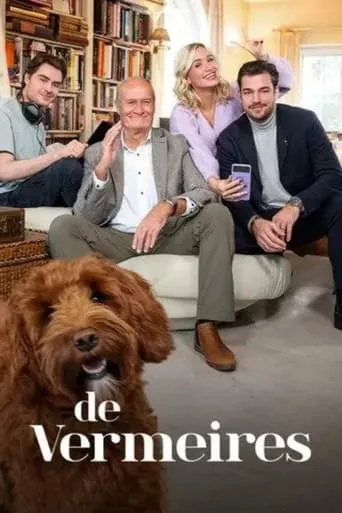 De Vermeires TV series poster - Rated 7/10