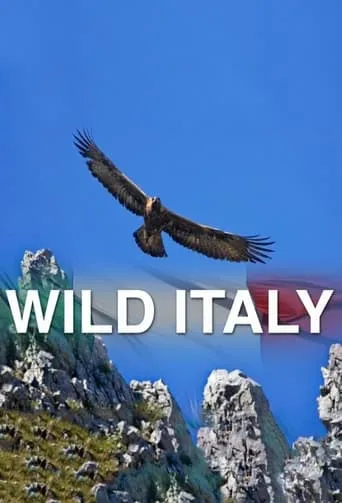 Wild Italy TV series poster - Rated 8/10