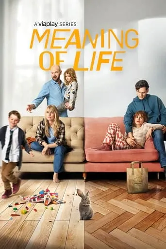 Meaning of Life TV series poster - Rated 6/10