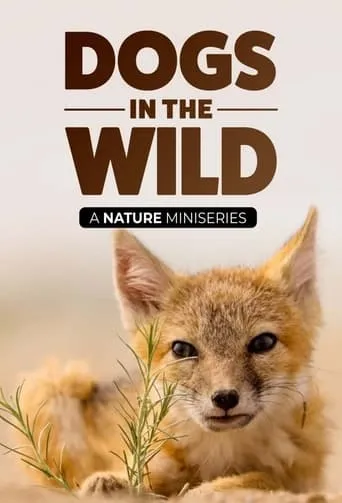 Dogs in the Wild: Meet the Family TV series poster - Rated 7.7/10