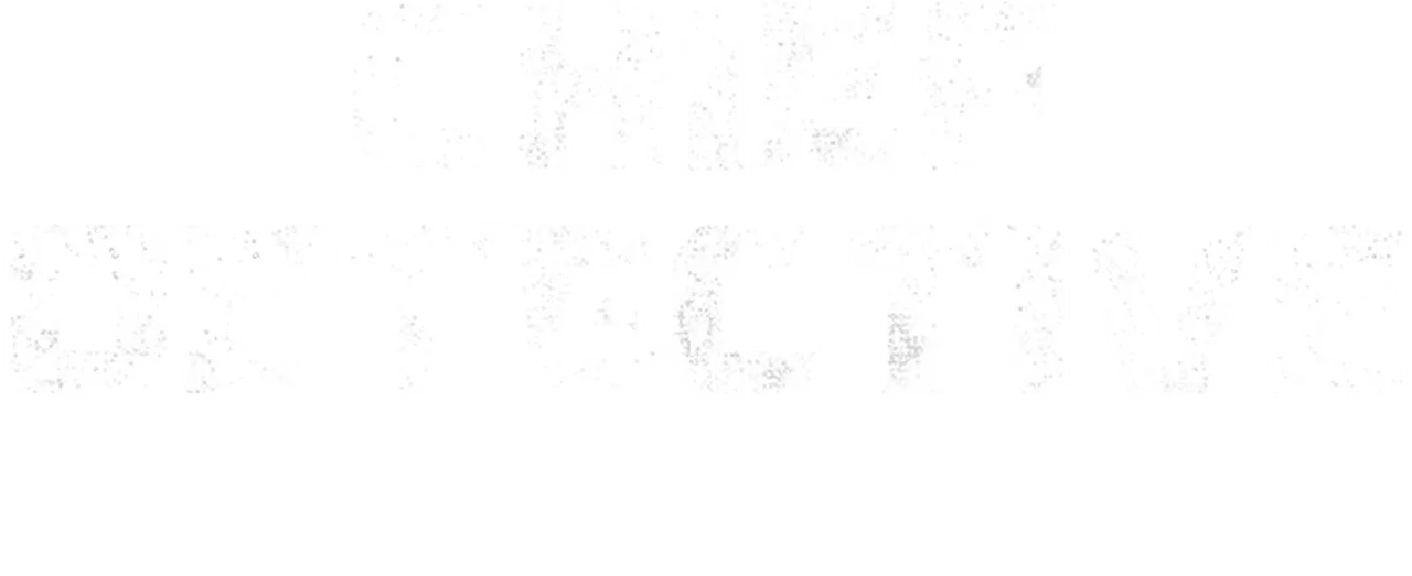 Chief Detective 1958