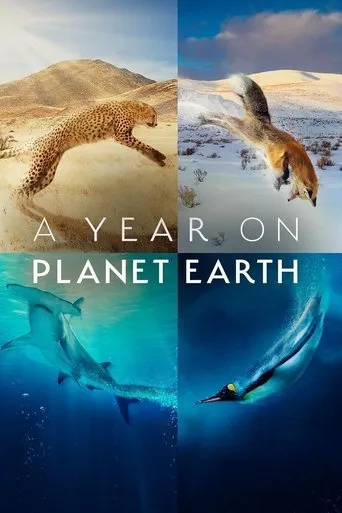 A Year on Planet Earth TV series poster - Rated 6/10