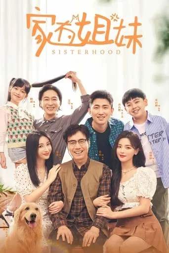 Sisterhood TV series poster - Rated 6.3/10