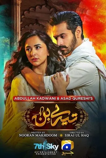 Tere Bin TV series poster - Rated 6.5/10