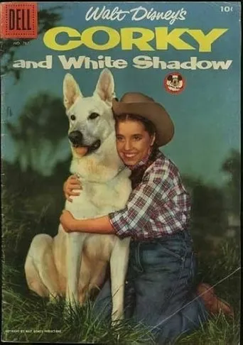 Corky and White Shadow TV series poster - Rated 6/10