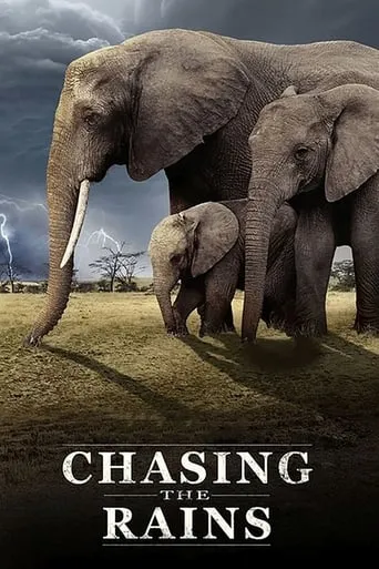 Chasing the Rains TV series poster - Rated 8/10