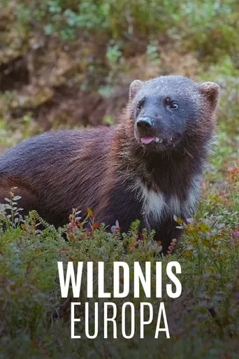 Wildnis Europa TV series poster - Rated 9/10