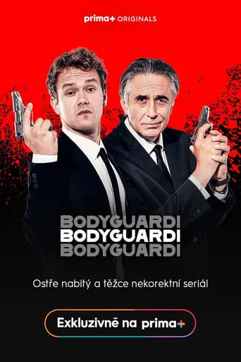 Bodyguardi TV series poster - Rated 6/10