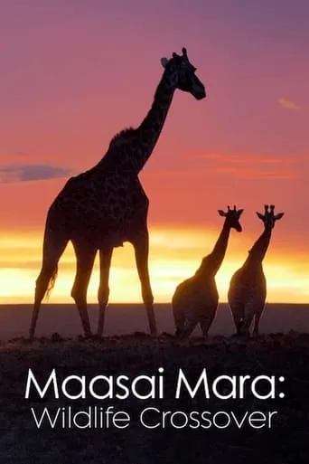 Masai Mara Wildlife Crossover TV series poster - Rated 6/10