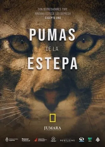 Pumas de la estepa TV series poster - Entertainment content