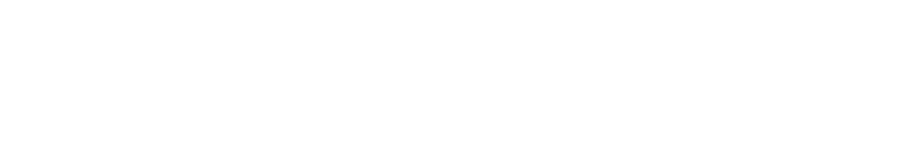 Tex Mex Motors