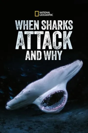 When Sharks Attack... and Why TV series poster - Rated 10/10