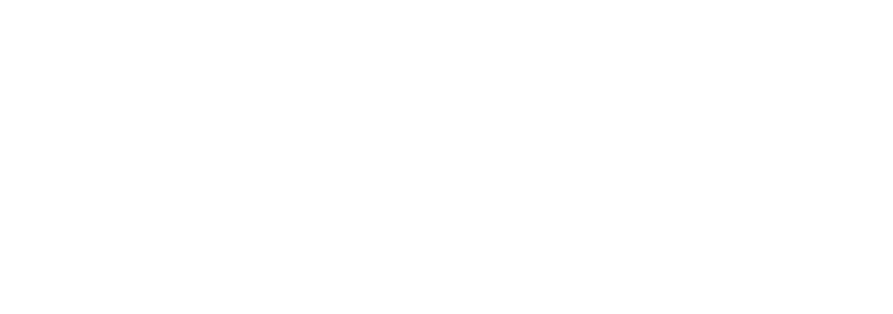 Transgender Twins