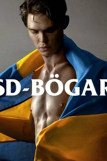 SD-Bögar TV series poster - Rated 3.7/10