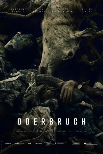 Oderbruch TV series poster - Rated 6.813/10
