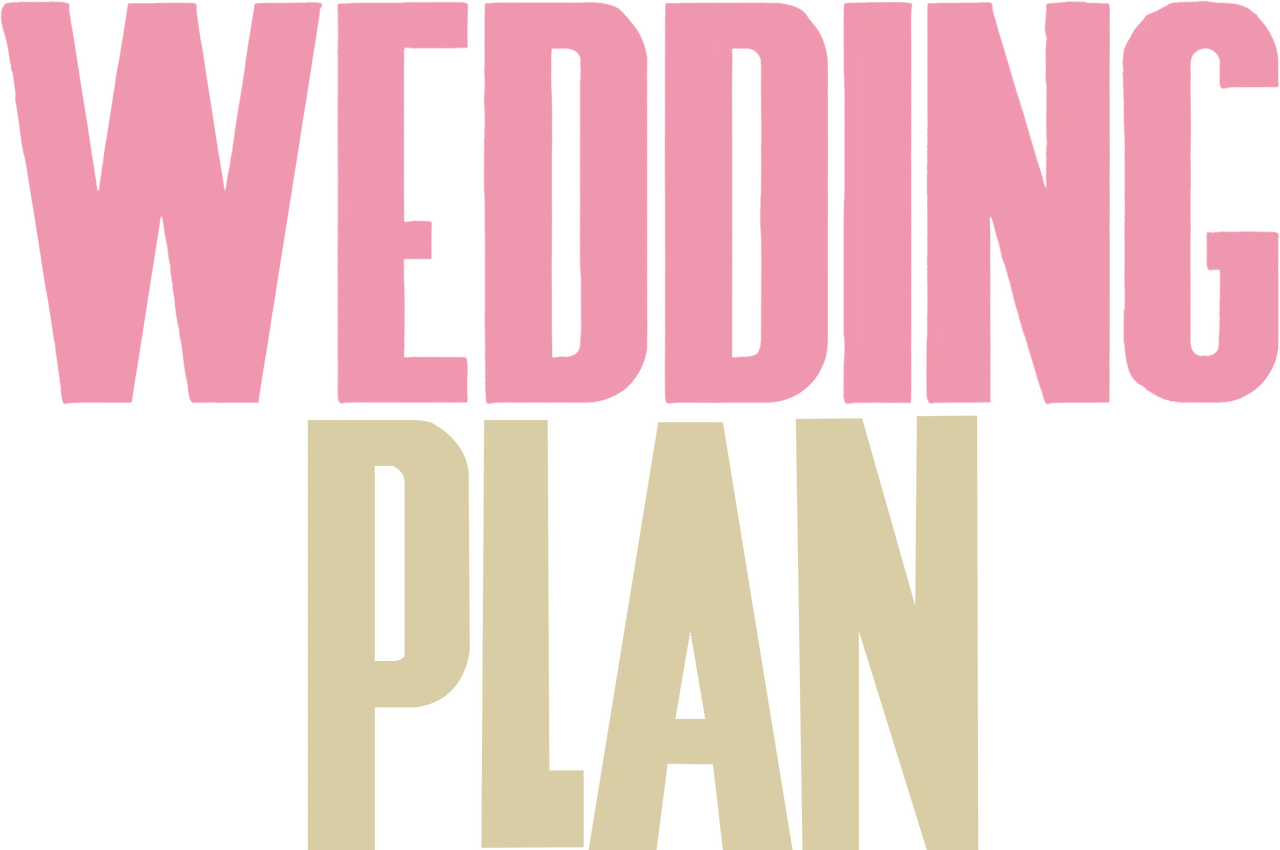 Wedding Plan