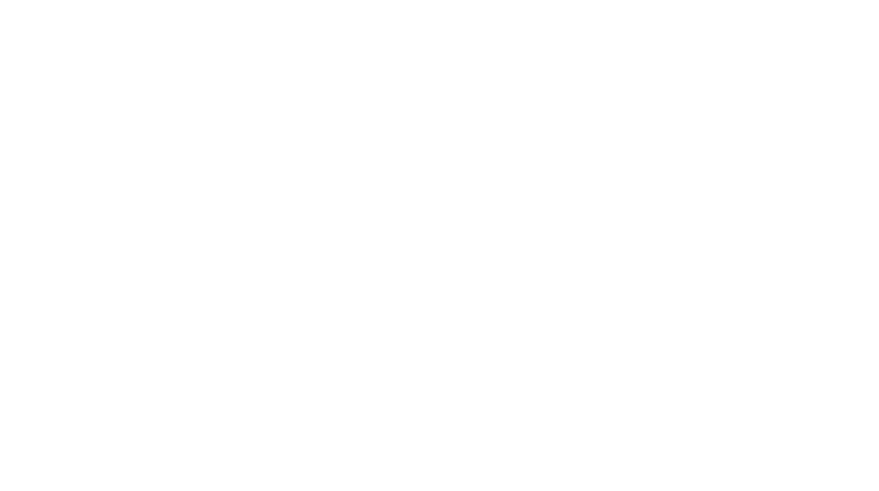 Bashar Shorts