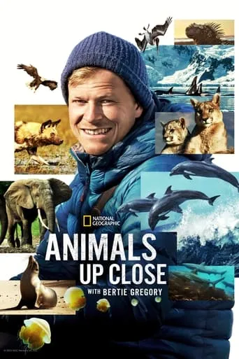 Animals Up Close with Bertie Gregory TV series poster - Rated 8.3/10