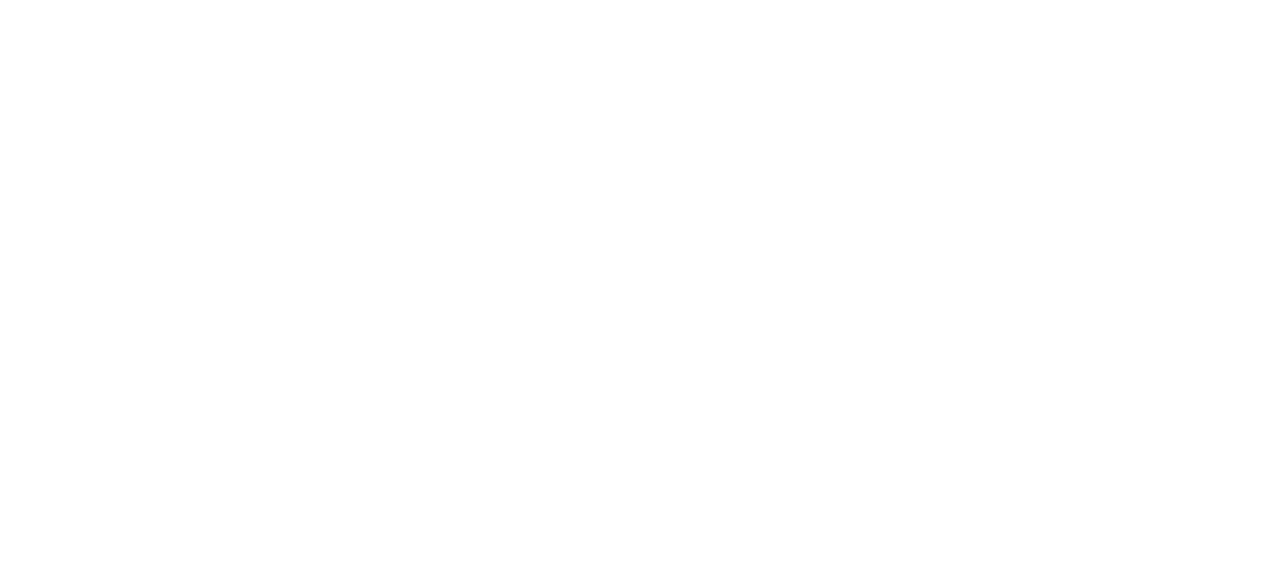 Survive the Raft