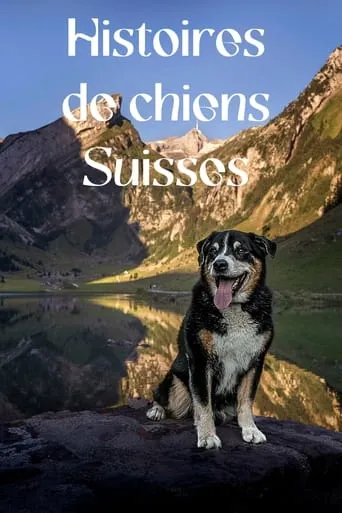 Histoires de chiens suisses TV series poster - Rated 9/10