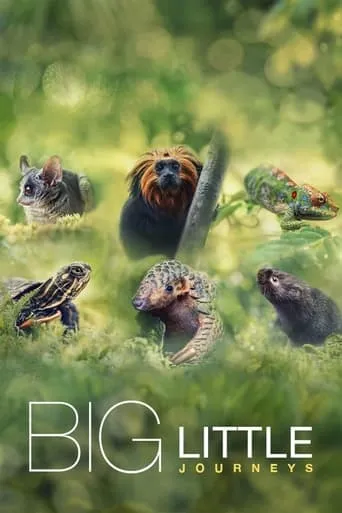 Big Little Journeys TV series poster - Rated 8.5/10