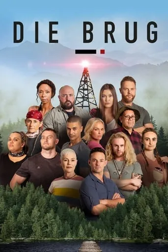 Die Brug TV series poster - Rated 8/10