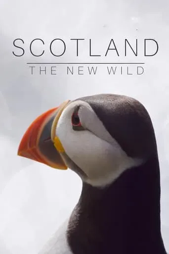 Scotland: The New Wild TV series poster - Rated 10/10
