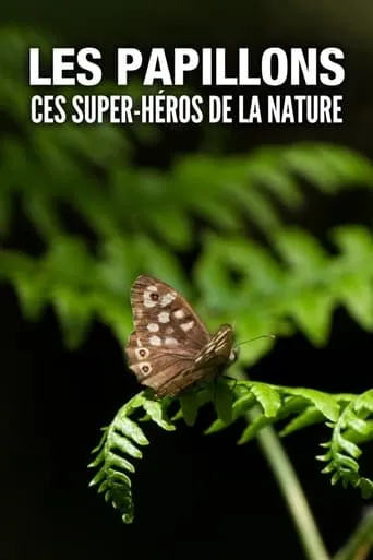 Les Papillons, ces super-héros de la nature TV series poster - Rated 9/10