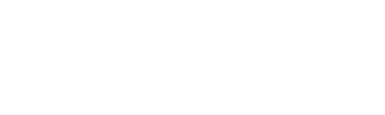 Northern Lights