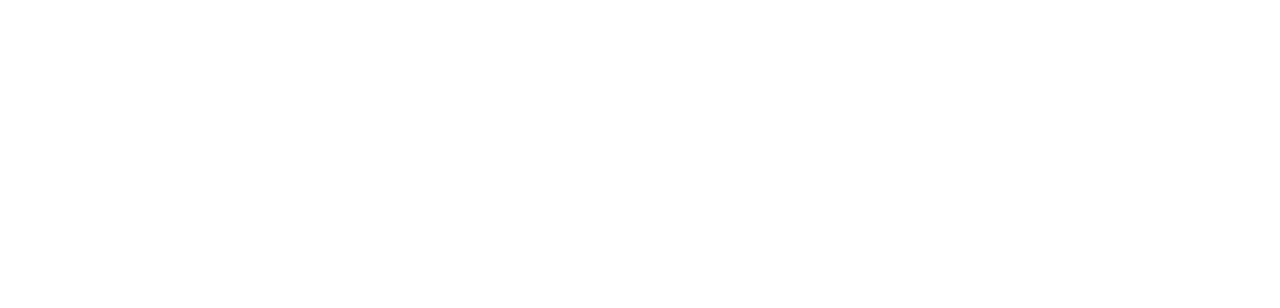 Sleeper Cell