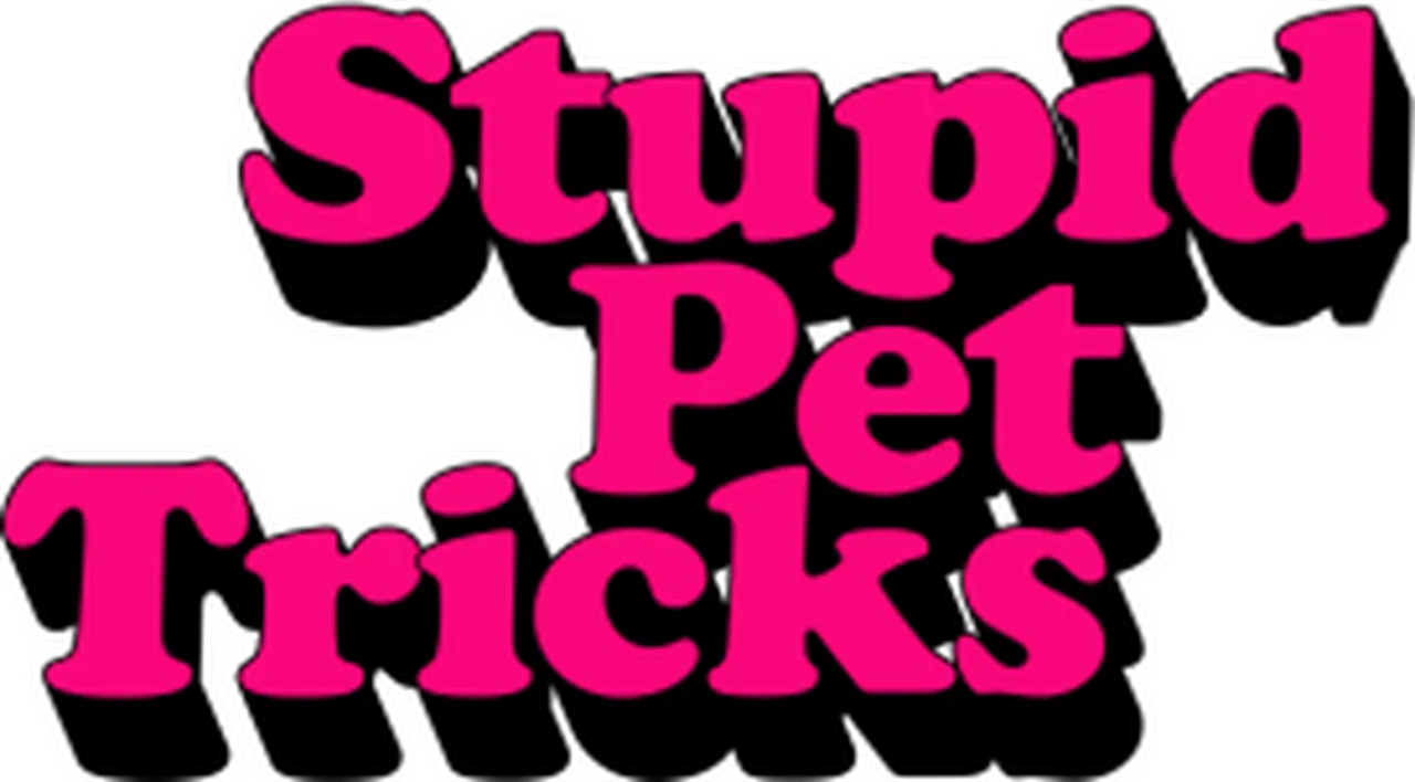Stupid Pet Tricks