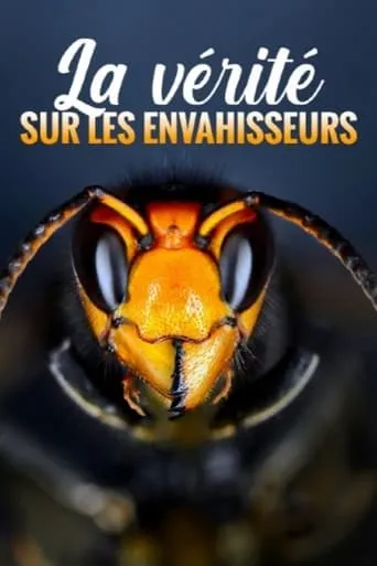 La vérité sur les envahisseurs TV series poster - Rated 10/10