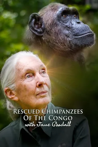 Rescued Chimpanzees of the Congo with Jane Goodall TV series poster - Rated 8/10