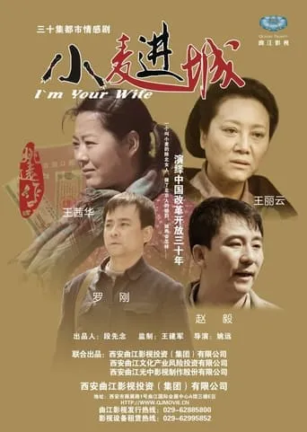 小麦进城 TV series poster - Rated 8/10
