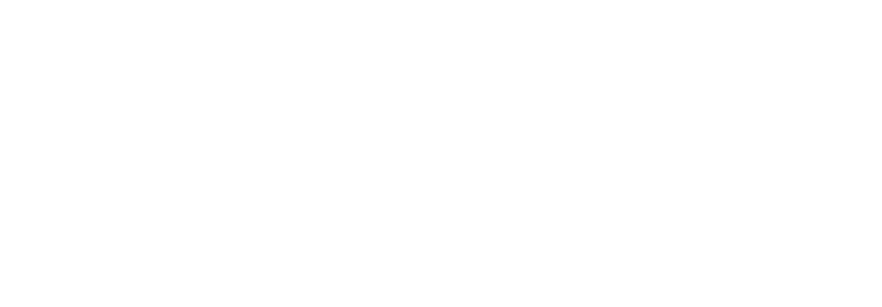 SPRINT