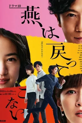 The Swallows Don't Come Back TV series poster - Rated 7/10