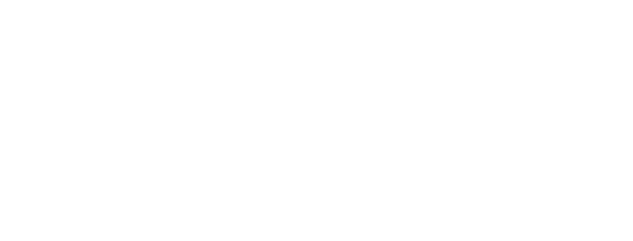 Stick