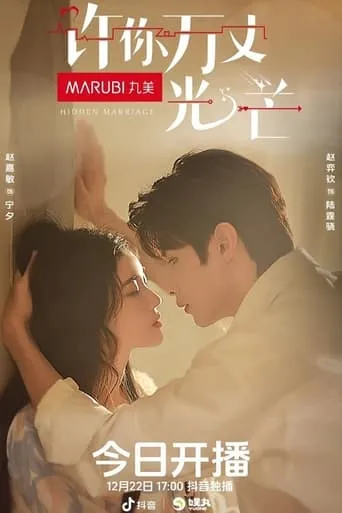 Hidden Marriage TV series poster - Rated 8/10