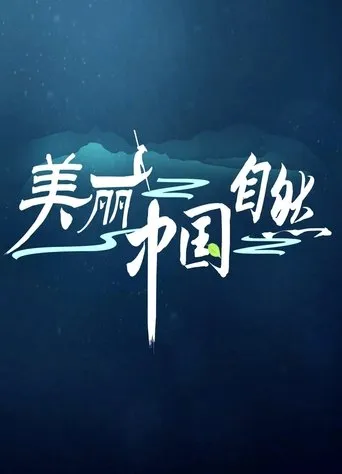 Amazing China TV series poster - Rated 4/10