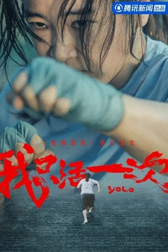 YOLO: I Only Live Once TV series poster - Rated 7.2/10