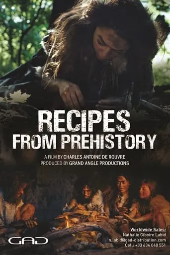 Dans les cuisines de la Préhistoire TV series poster - Rated 8/10