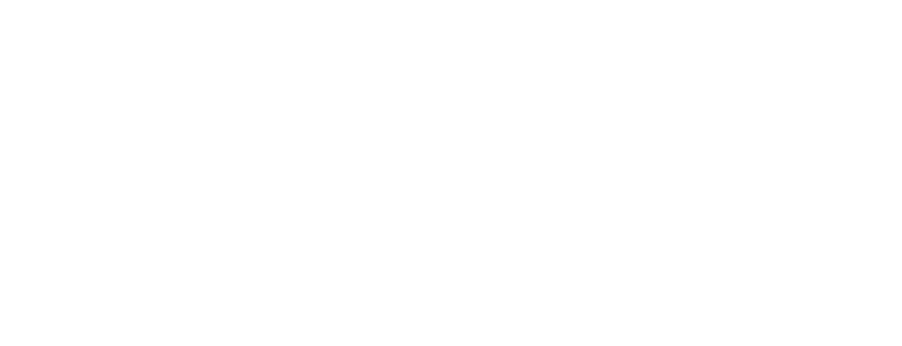 Bronx Zoo '90: Crime, Chaos and Baseball
