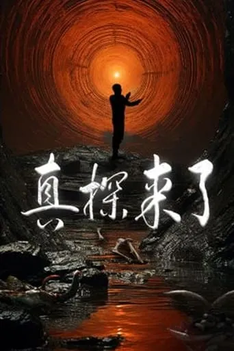 真探来了 TV series poster - Rated 10/10