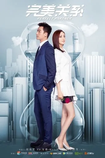 Perfect Partner TV series poster - Rated 6/10