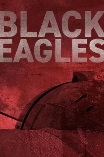 Black Eagles TV series poster - Rated 8/10
