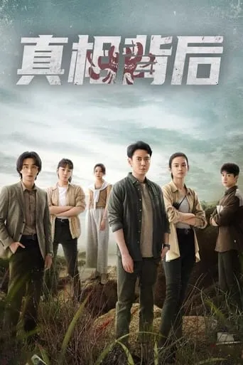 The Whole Truth TV series poster - Rated 9.5/10