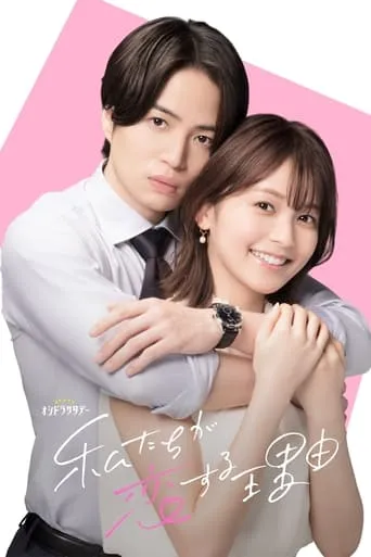 The Reason We Fall In Love TV series poster - Rated 7/10