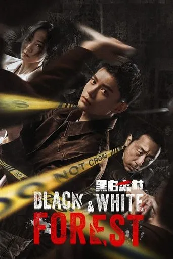 Black & White Forest TV series poster - Rated 8.3/10