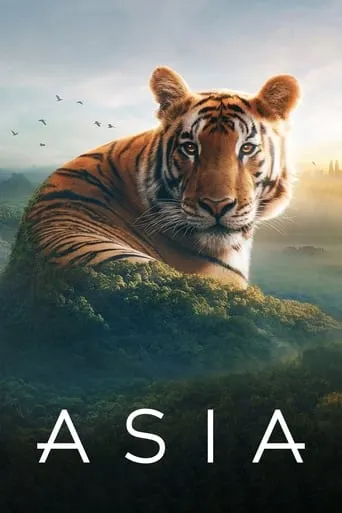Asia TV series poster - Rated 9.1/10