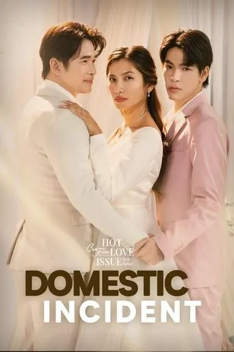 Domestic Incident TV series poster - Rated 8/10